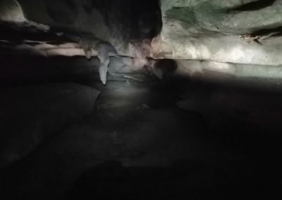 Cave Explore