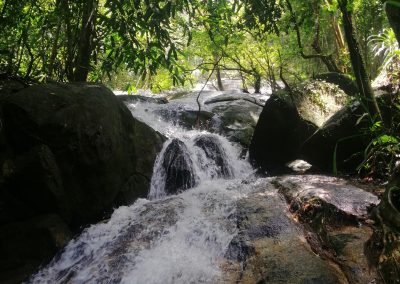 Waterfall Hunting