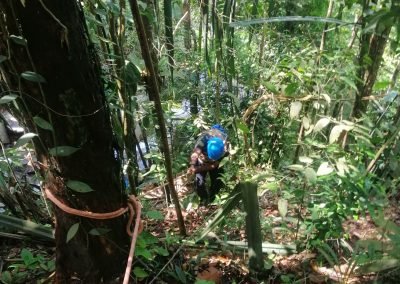 Waterfall Hunting