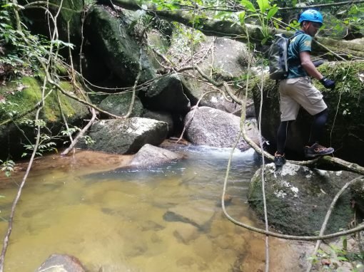 Waterfall Hunting