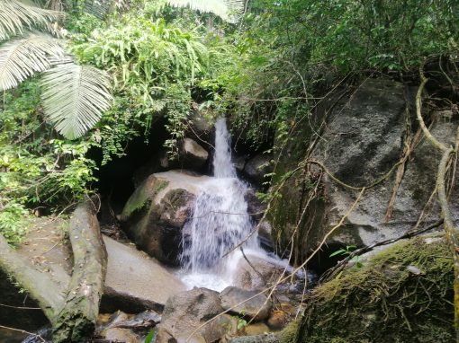 Waterfall Hunting