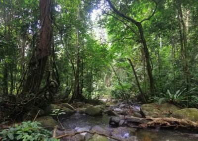 Waterfall Hunting