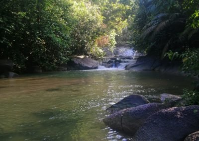 Waterfall Hunting